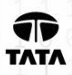 TCS CodeVita Season 13 badge
